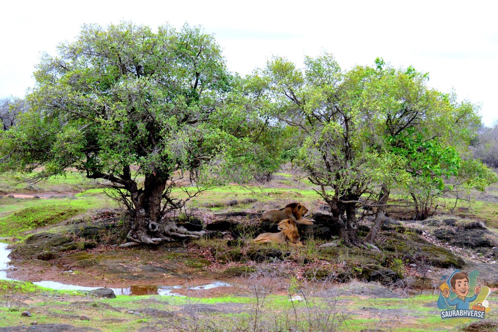 Around the Saurashtra in 48 Hours